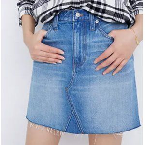 Rigid denim a-line mini skirt in leandra wash